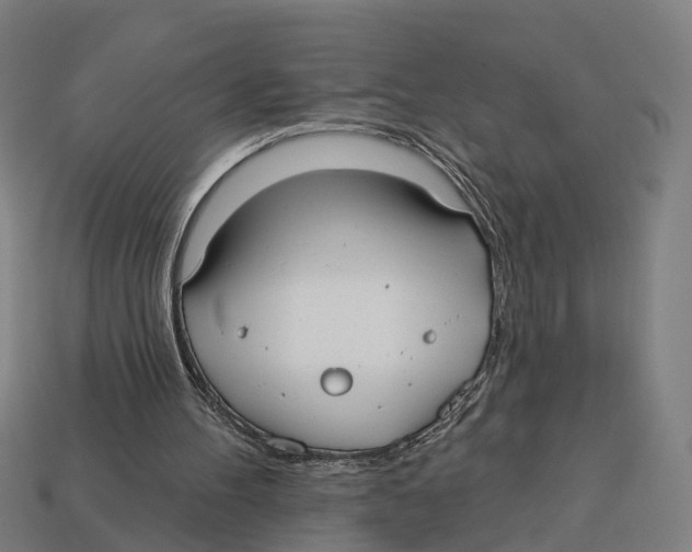 X0000113080100200909250957