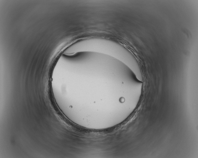 X0000113080101200909250957