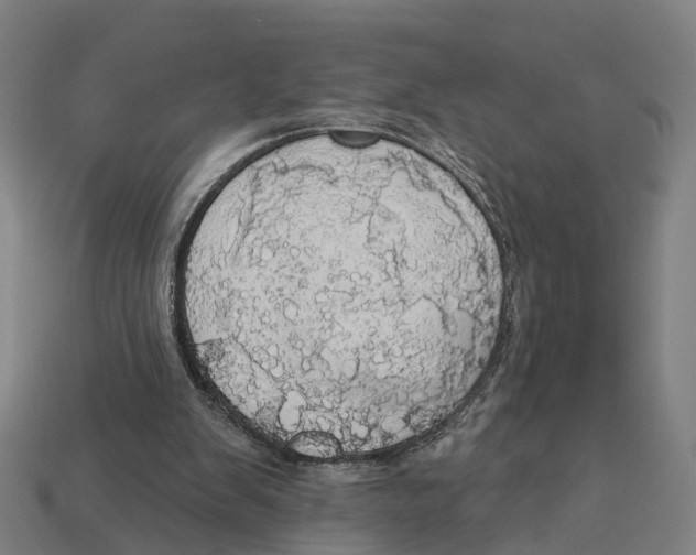 X0000113080103200909250957