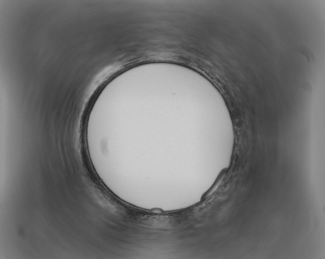 X0000113080104200909250957