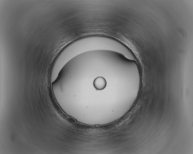X0000113080105200909250957