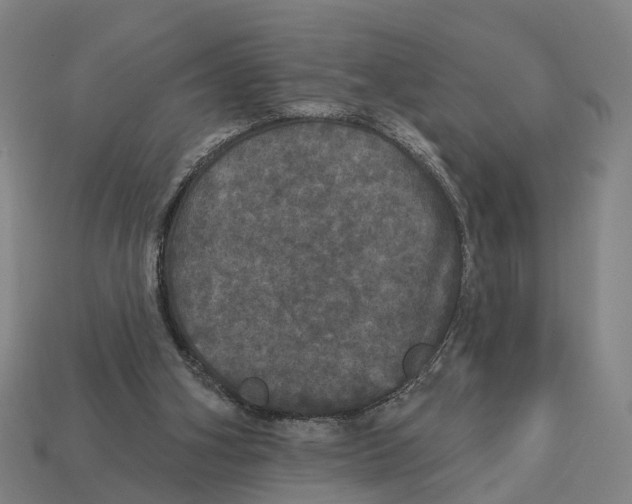 X0000113080106200909250957