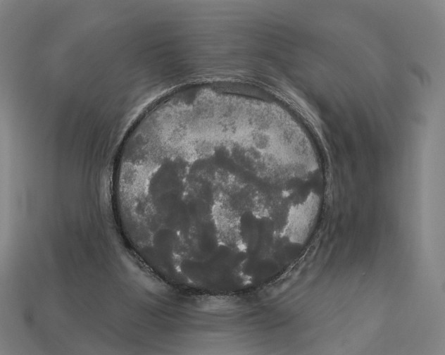 X0000113080107200909250957