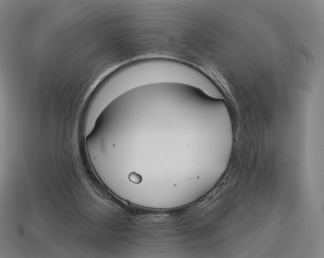 X0000113080108200909250957