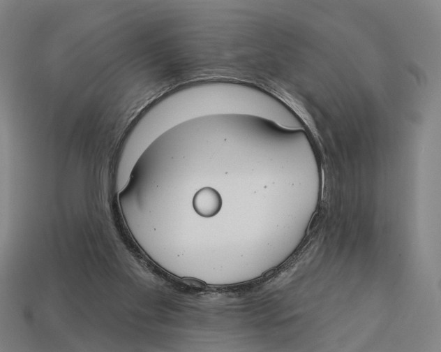 X0000113080109200909250957