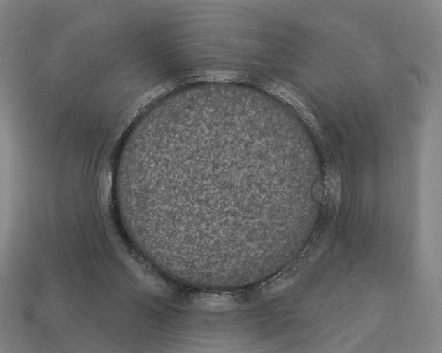 X0000113080110200909250957