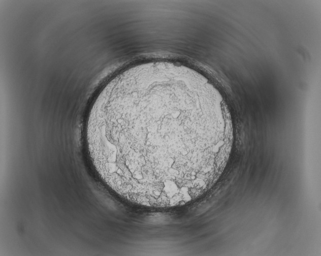 X0000113080111200909250957