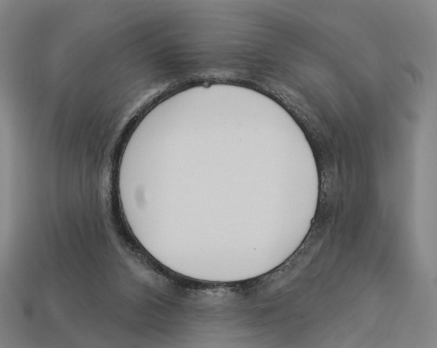 X0000113080112200909250957