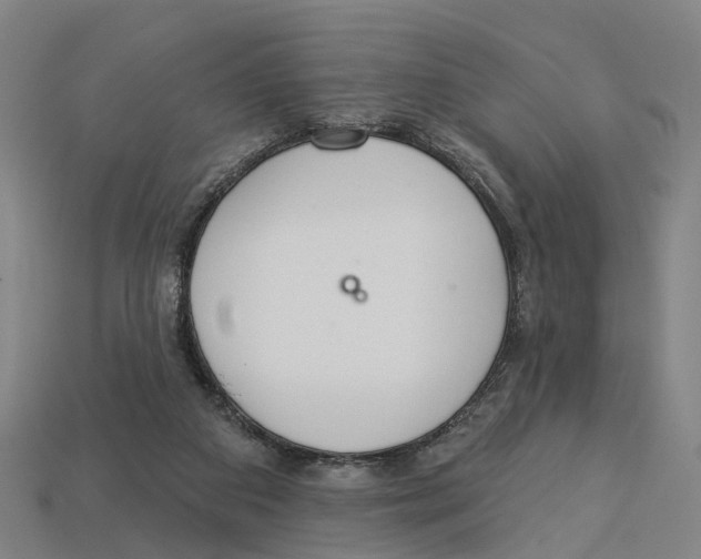 X0000113080113200909250957