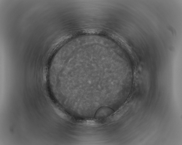 X0000113080114200909250957