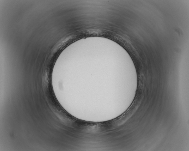 X0000113080116200909250957