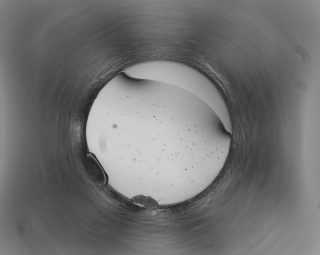 X0000113080117200909250957