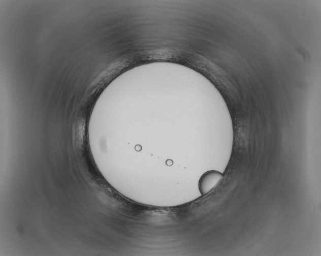 X0000113080118200909250957