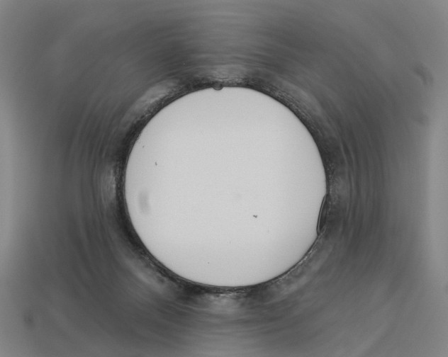 X0000113080120200909250957