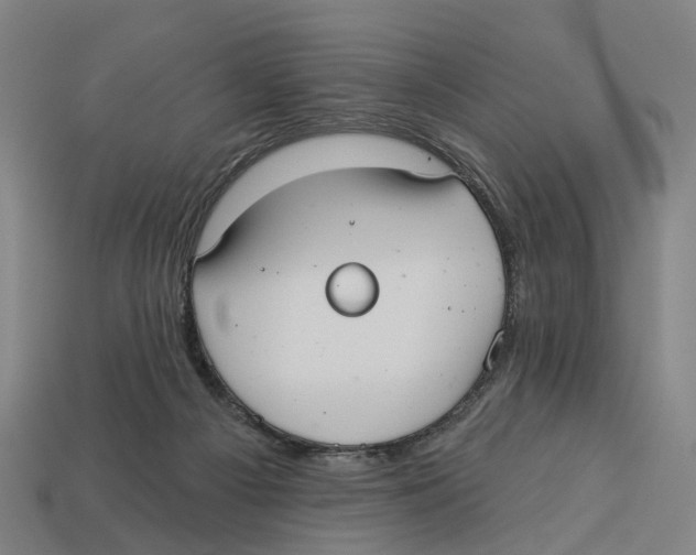 X0000113080121200909250957