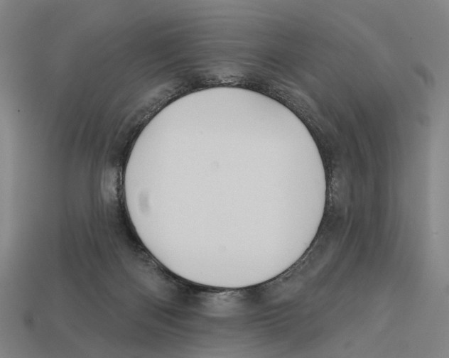 X0000113080122200909250957