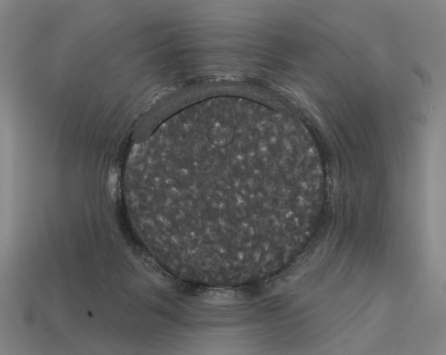 X0000113080123200909250957