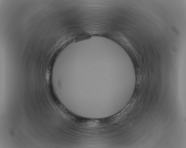 X0000113080124200909250957