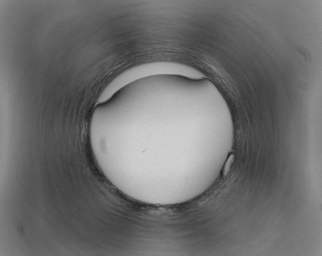 X0000113080125200909250957