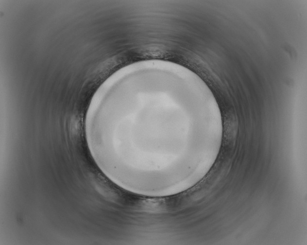 X0000113080126200909250957