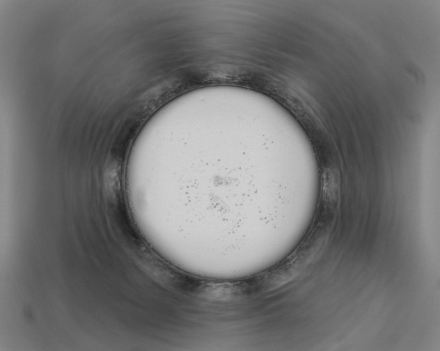 X0000113080127200909250957