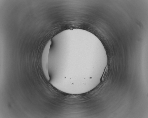 X0000113080129200909250957