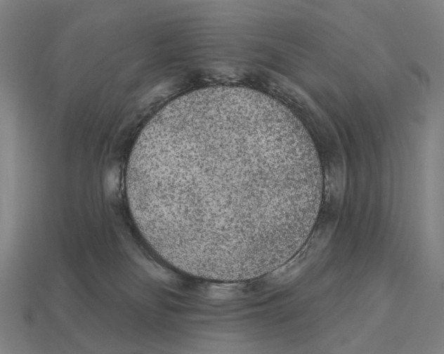 X0000113080134200909250957