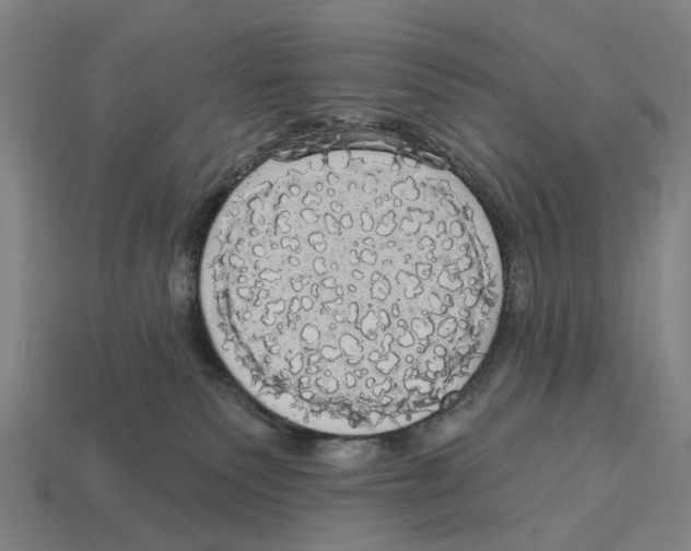 X0000113080135200909250957