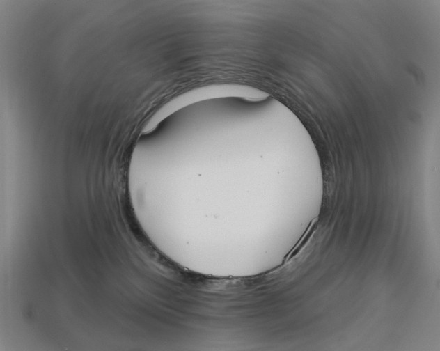 X0000113080136200909250957