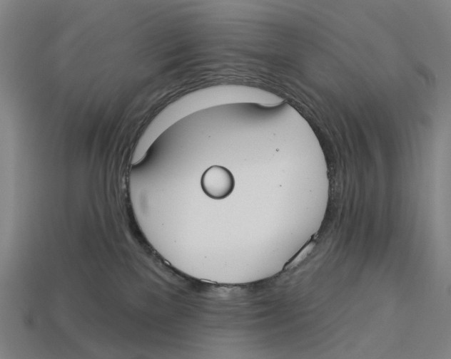 X0000113080137200909250957