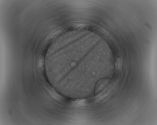 X0000113080138200909250957