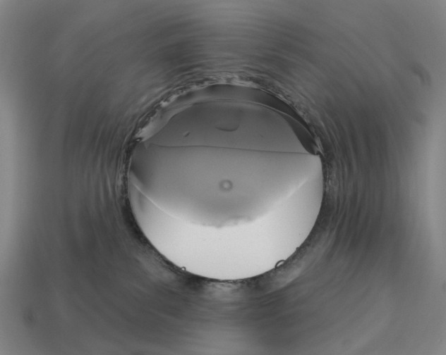 X0000113080139200909250957
