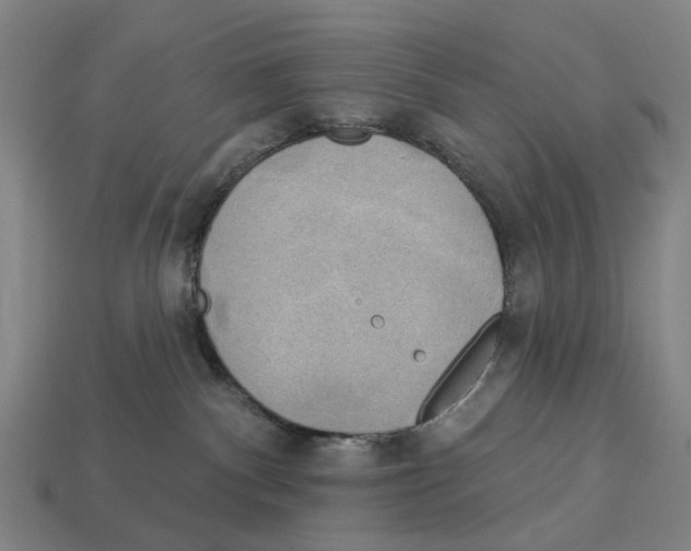 X0000113080140200909250957