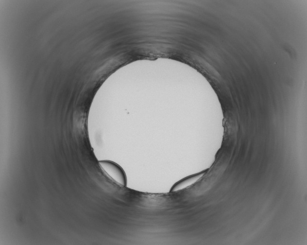 X0000113080141200909250957