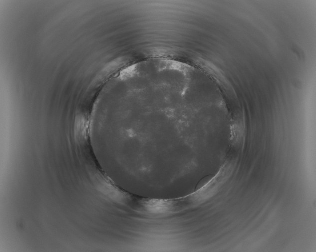 X0000113080142200909250957