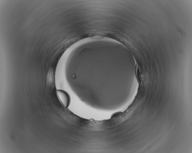 X0000113080143200909250957