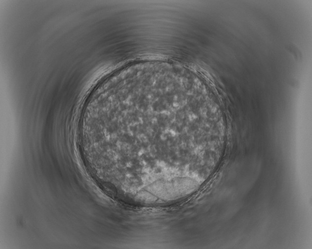 X0000113080145200909250956