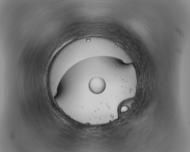X0000113080146200909250956
