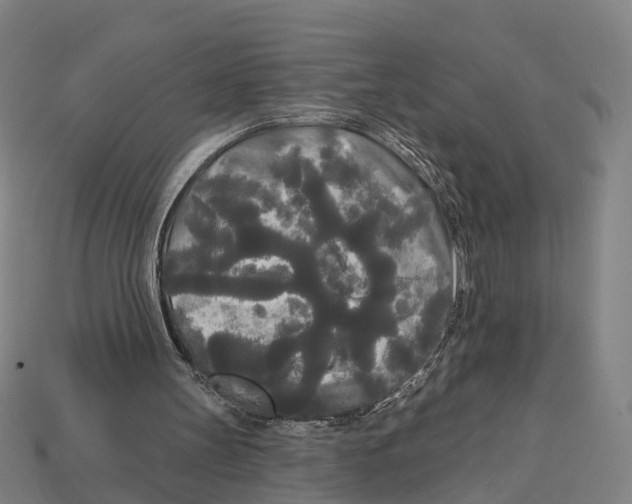 X0000113080147200909250956