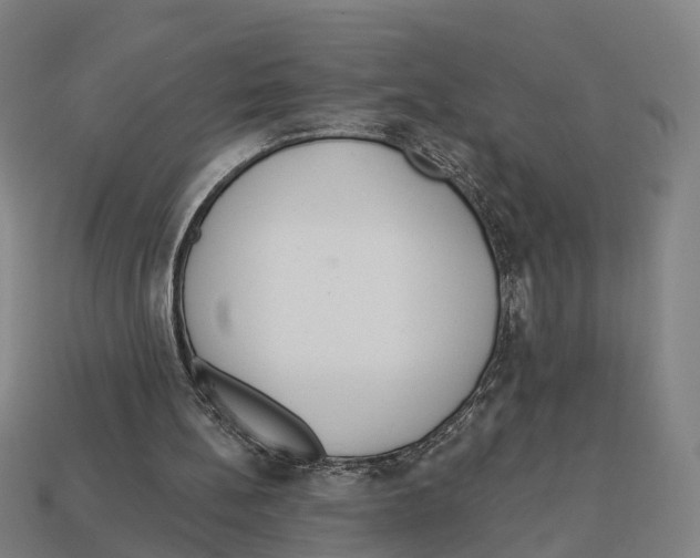 X0000113080148200909250956