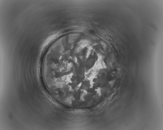 X0000113080149200909250956