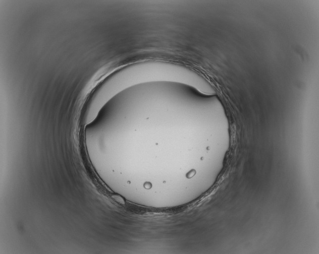X0000113080150200909250956