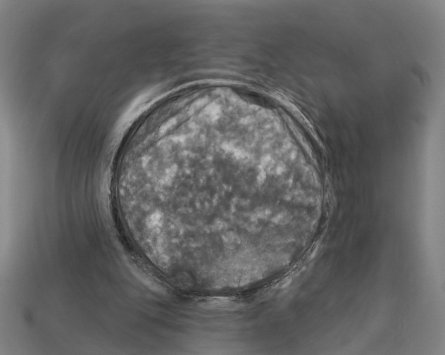 X0000113080151200909250956