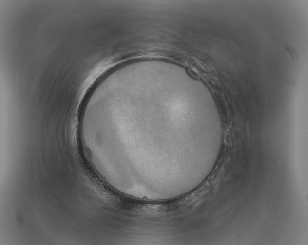 X0000113080152200909250956