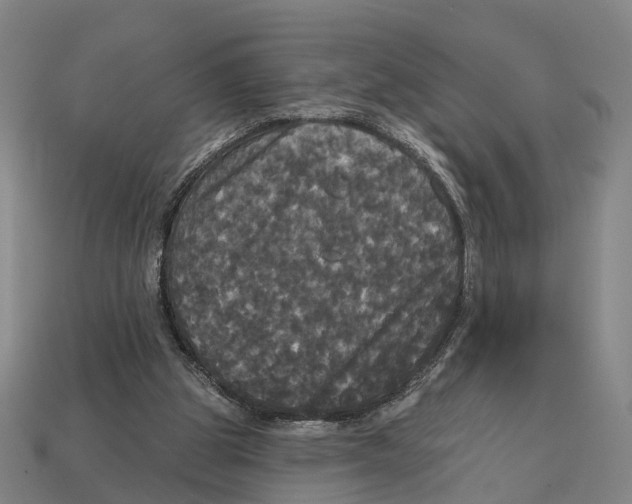 X0000113080153200909250956