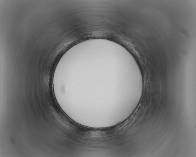 X0000113080154200909250956