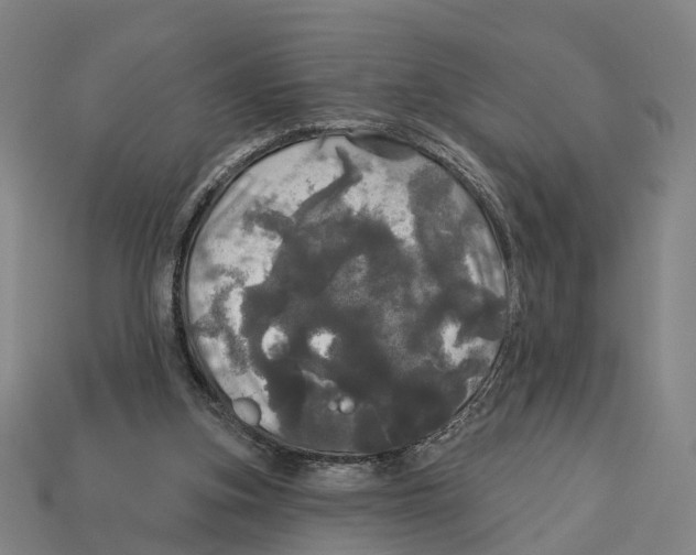 X0000113080155200909250956