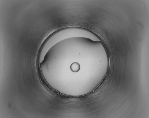 X0000113080156200909250956