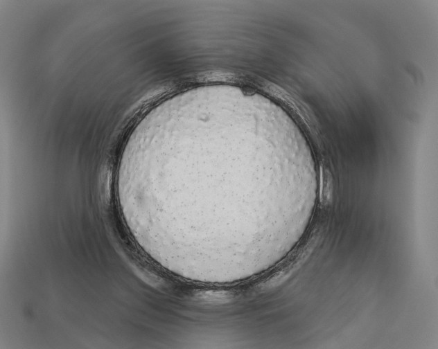 X0000113080157200909250956