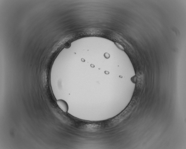 X0000113080158200909250956